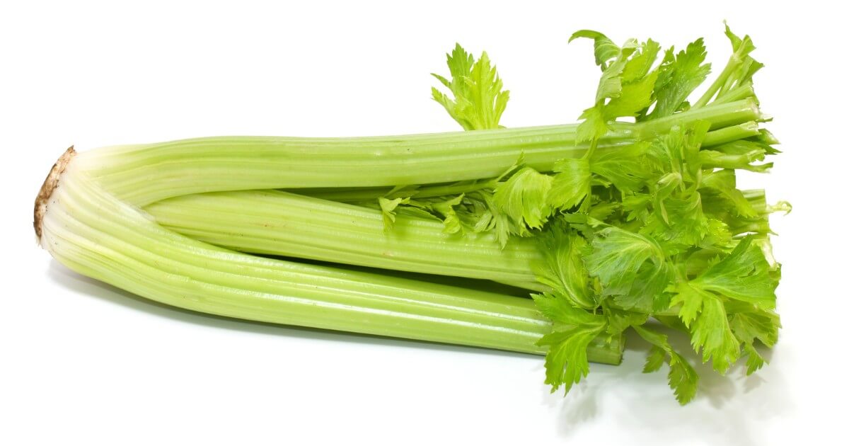Celery leaves and stalk