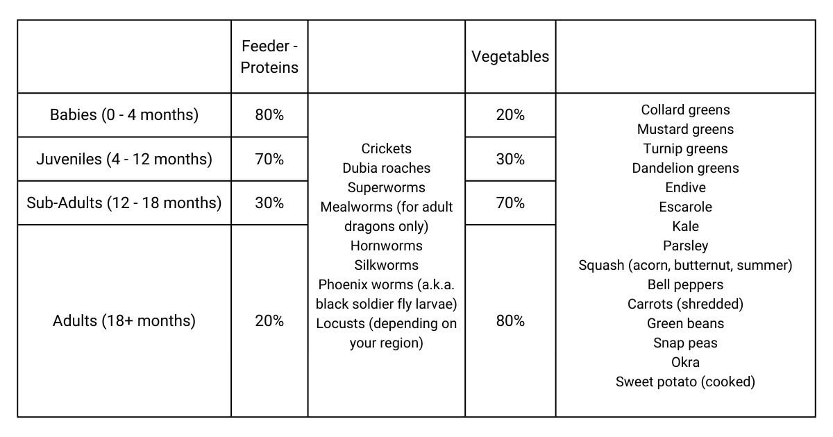 An infographic showcasing the ideal proportions of protein sources, vegetables and greens, fruits, and foods to avoid for bearded dragons at different life stages