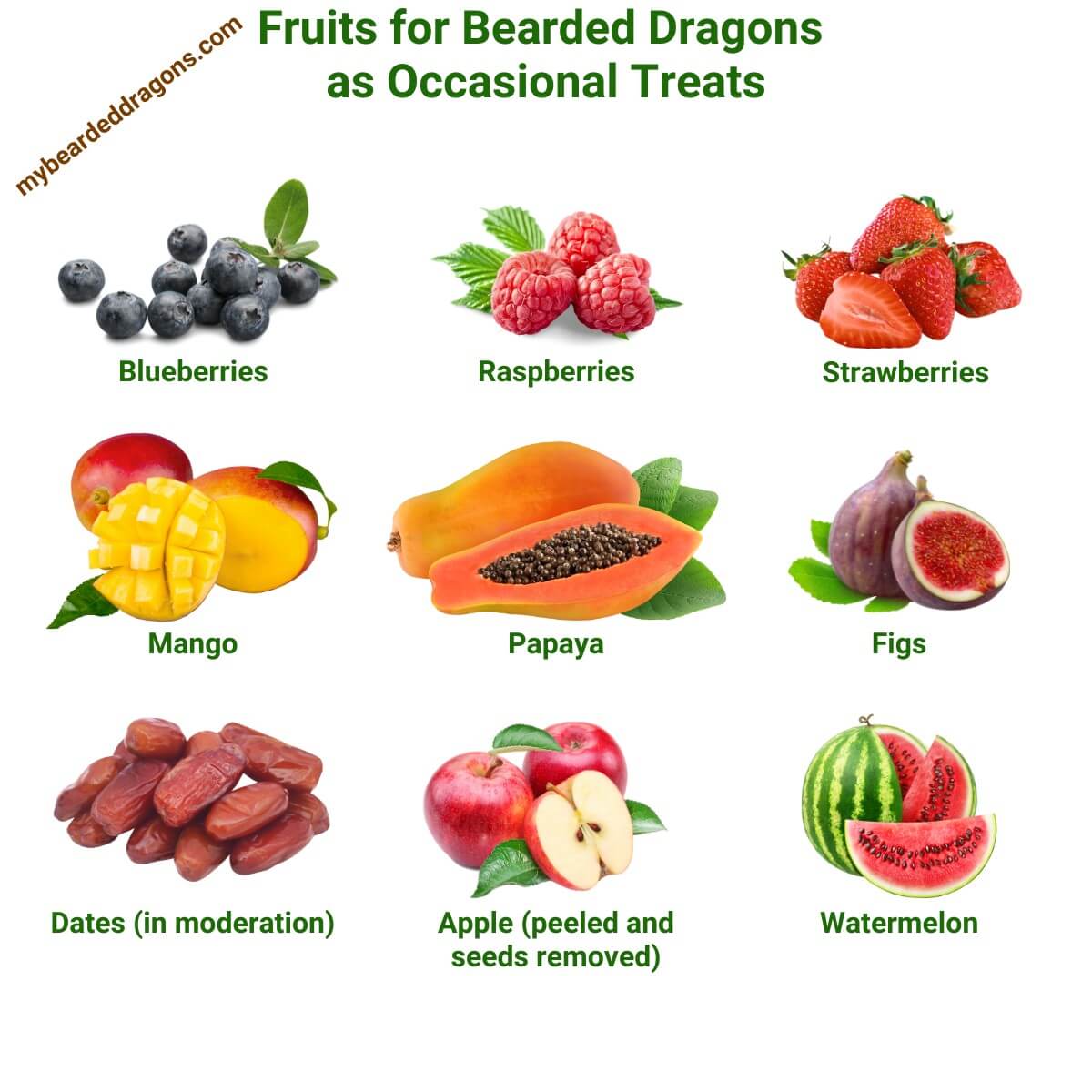 Fruits suitable for bearded dragons to eat