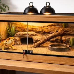 Wooden Vivarium - Bearded Dragon Enclosure